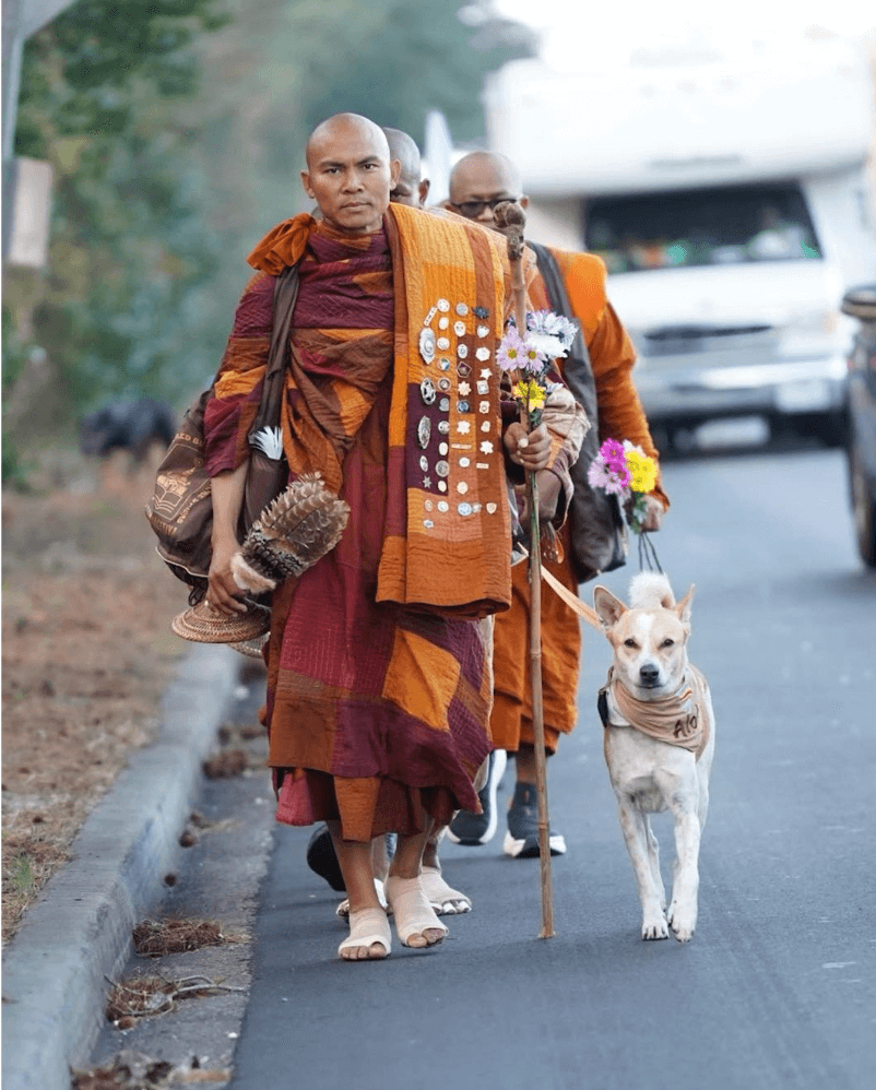 Step by Step: How Buddhist Monks Are Practising Peace Through the Walk for Peace USA