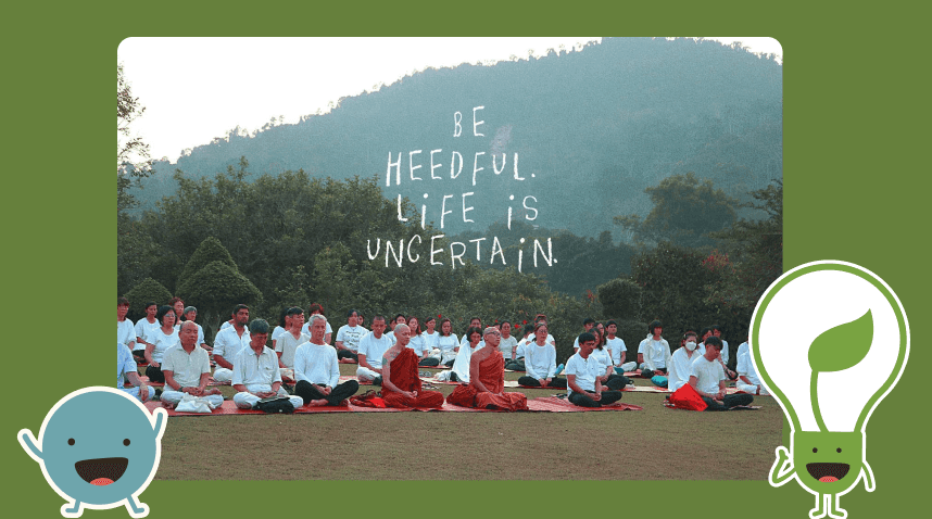 ‘It’s just like this’_ 3 Takeaways from my forest retreat